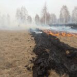 В Тюменской области за сутки площадь лесных пожаров увеличилась на 5 тыс. га
