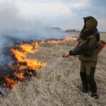 Пять лесных и четыре ландшафтных пожара возникло в Тюменской области за сутки