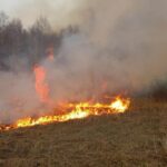 В Тюменской области за сутки зафиксировали 16 новых лесных пожаров