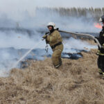 Два крупных пожара локализованы в Тюменском и Ярковском районах
