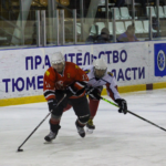Двойной успех ярковского хоккея