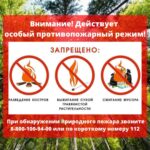 Риск лесных пожаров в Тюменской области сохраняется
