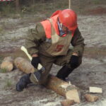 В преддверии Дня работников леса состоится конкурс профессионального мастерства