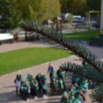 В сентябре состоится XIII Слёт школьных лесничеств Тюменской области